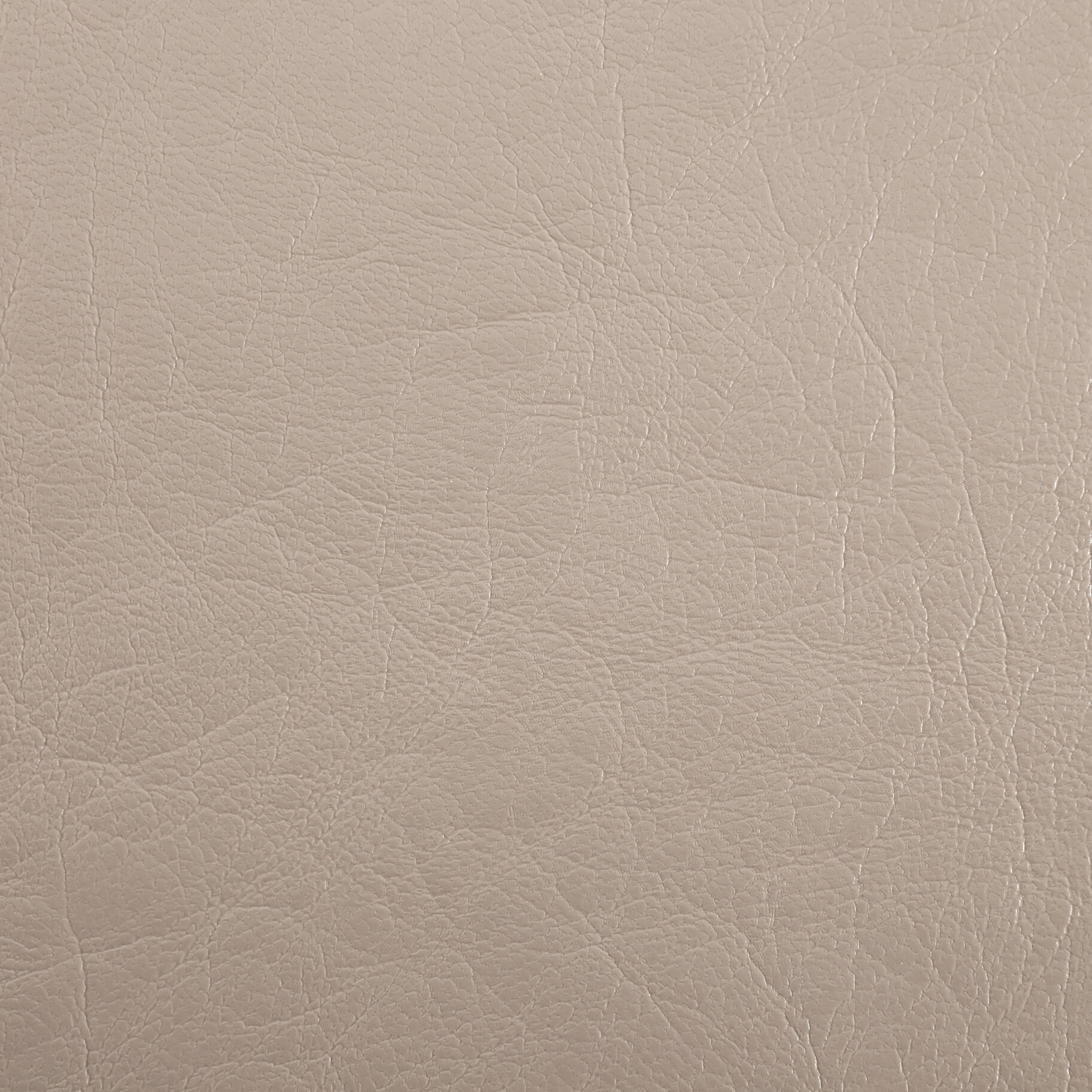 0254 Beige