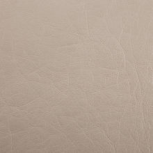 LINCOLN 0254 Beige surface sample