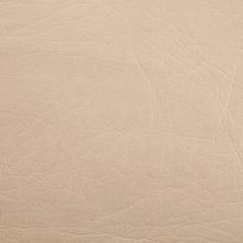 LINCOLN 0359 Sampanya surface sample