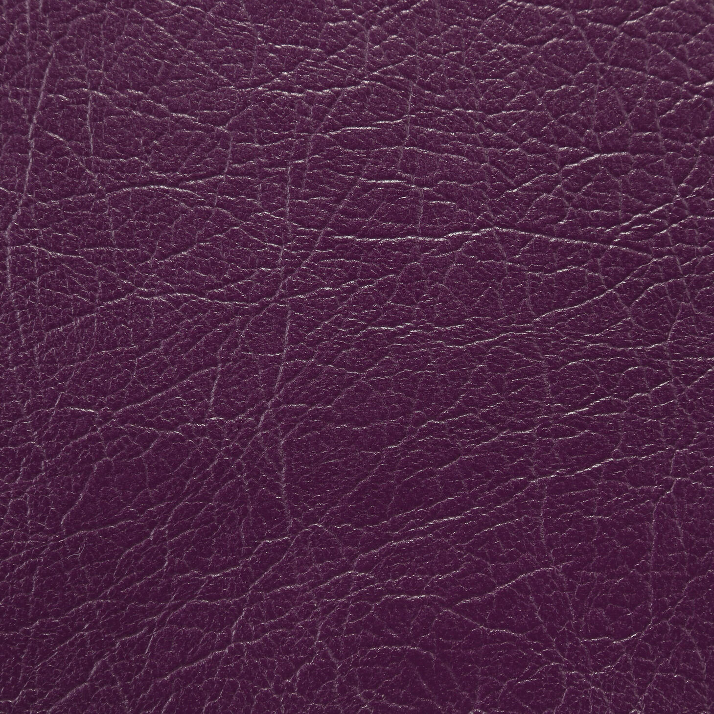 0528 Plum