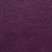 LINCOLN 0528 Plum surface sample