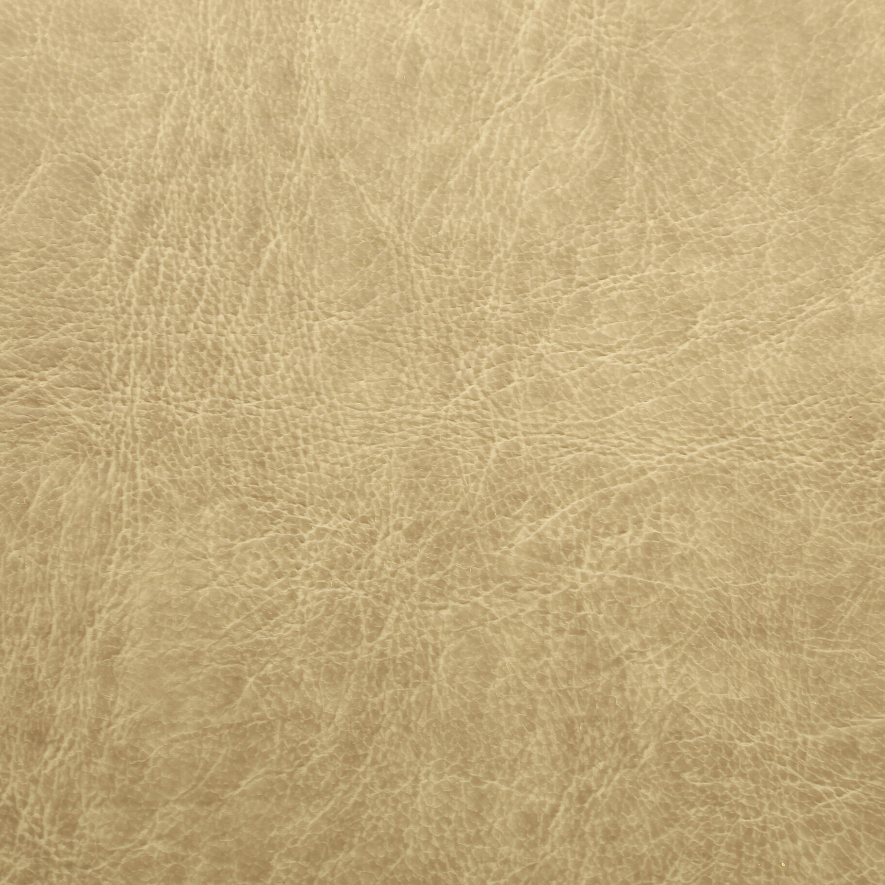 0537 Lemon