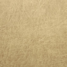 LINCOLN 0537 Lemon surface sample