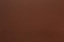 LINEA 1496 Tan surface sample