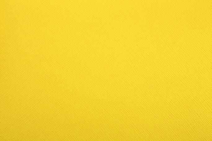 1498 Yellow