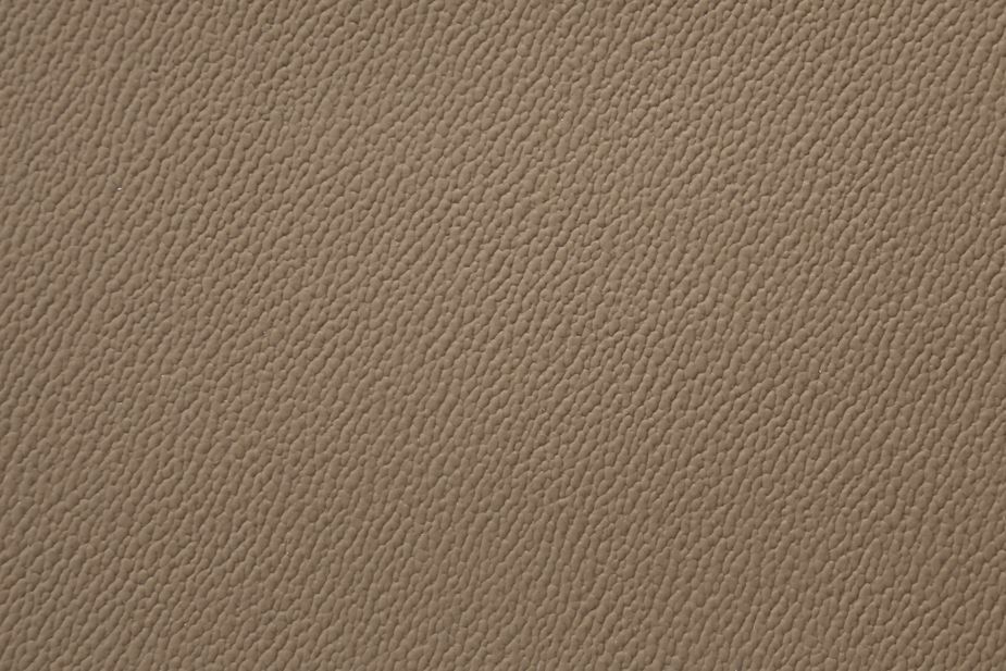 0149 Mustard