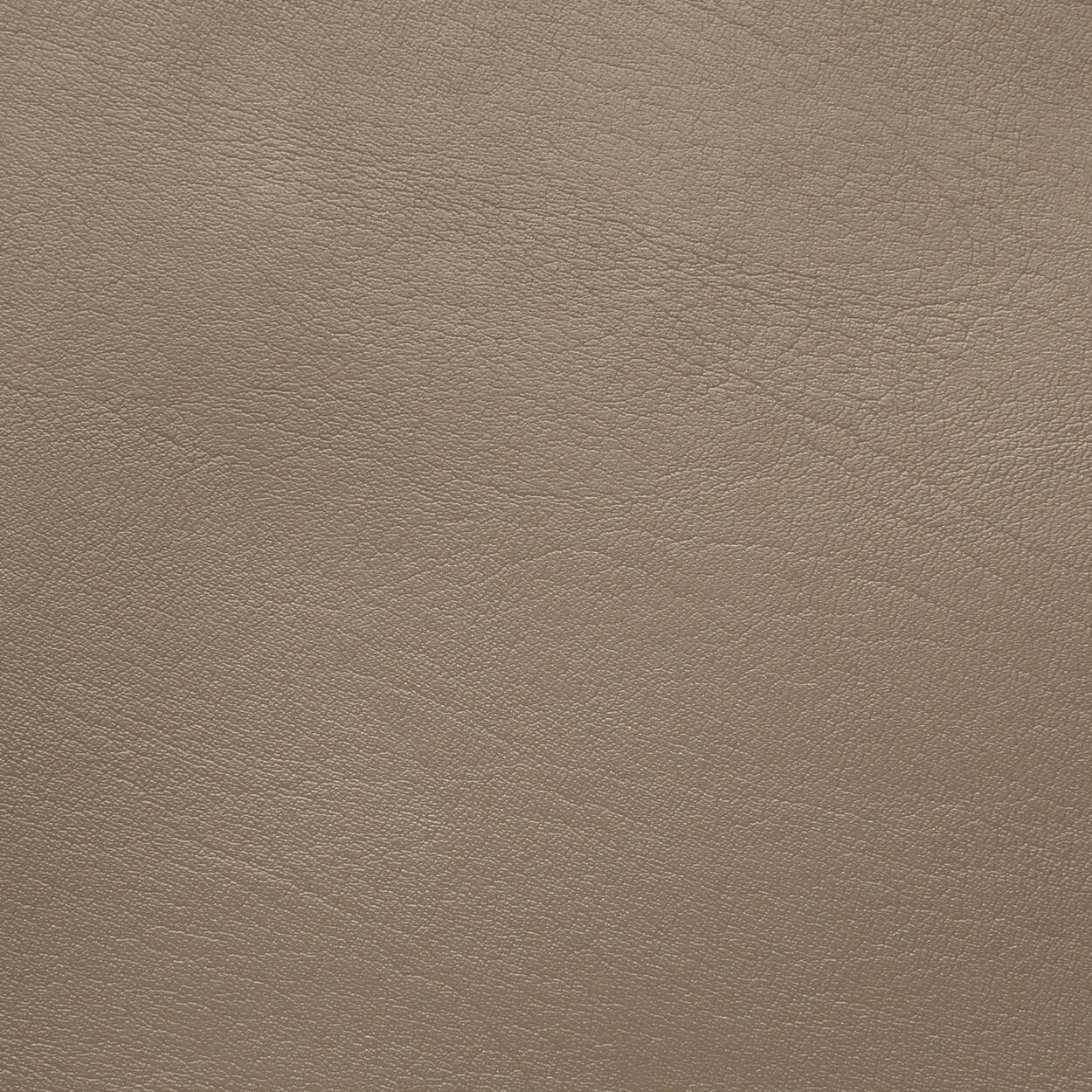 1241 Taupe