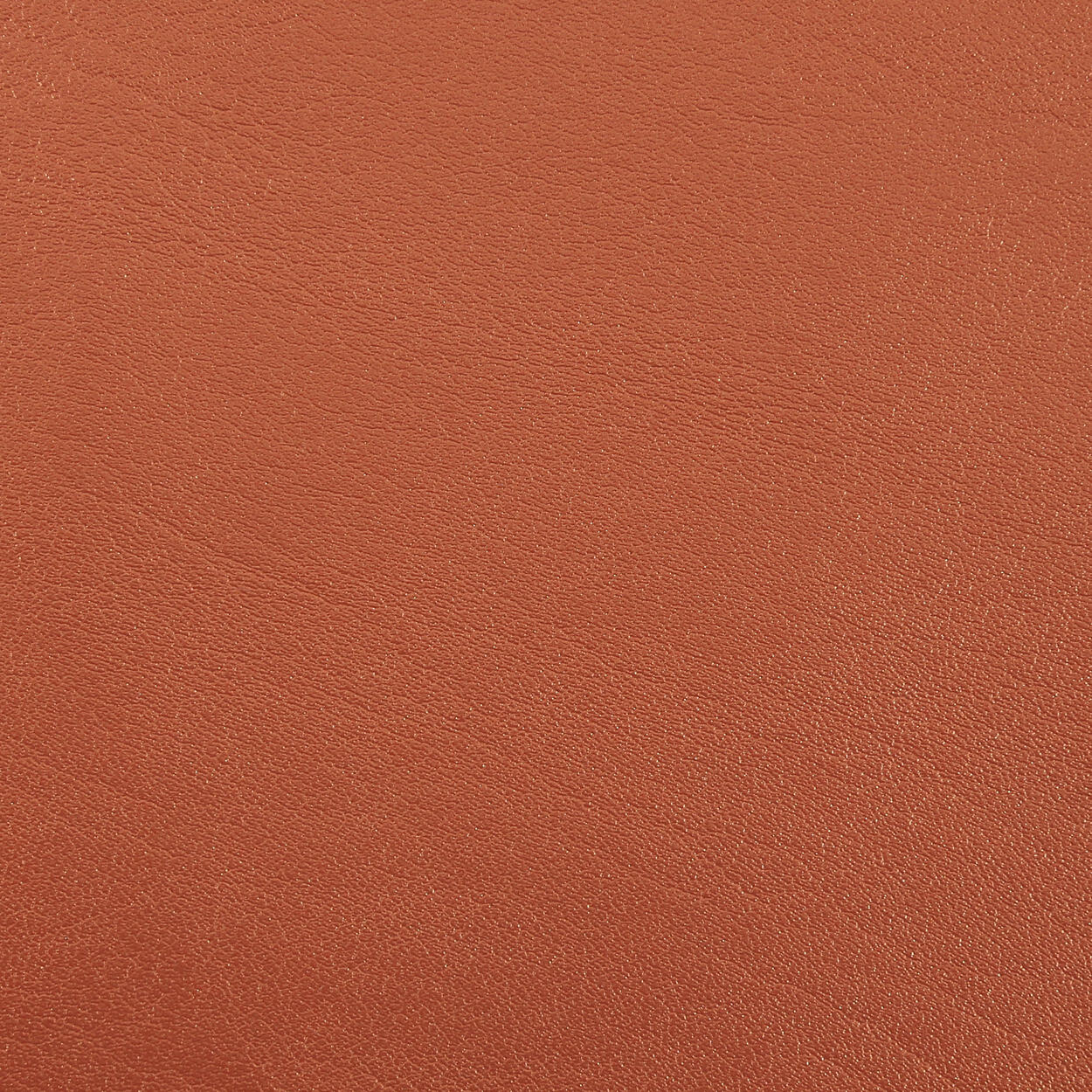 1246 Mandarin