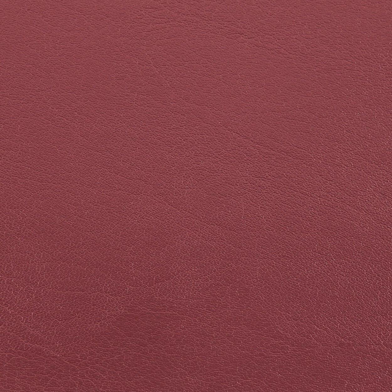 1251 Wine
