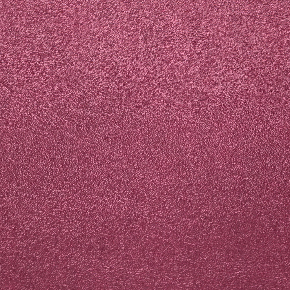 1254 Raspberry