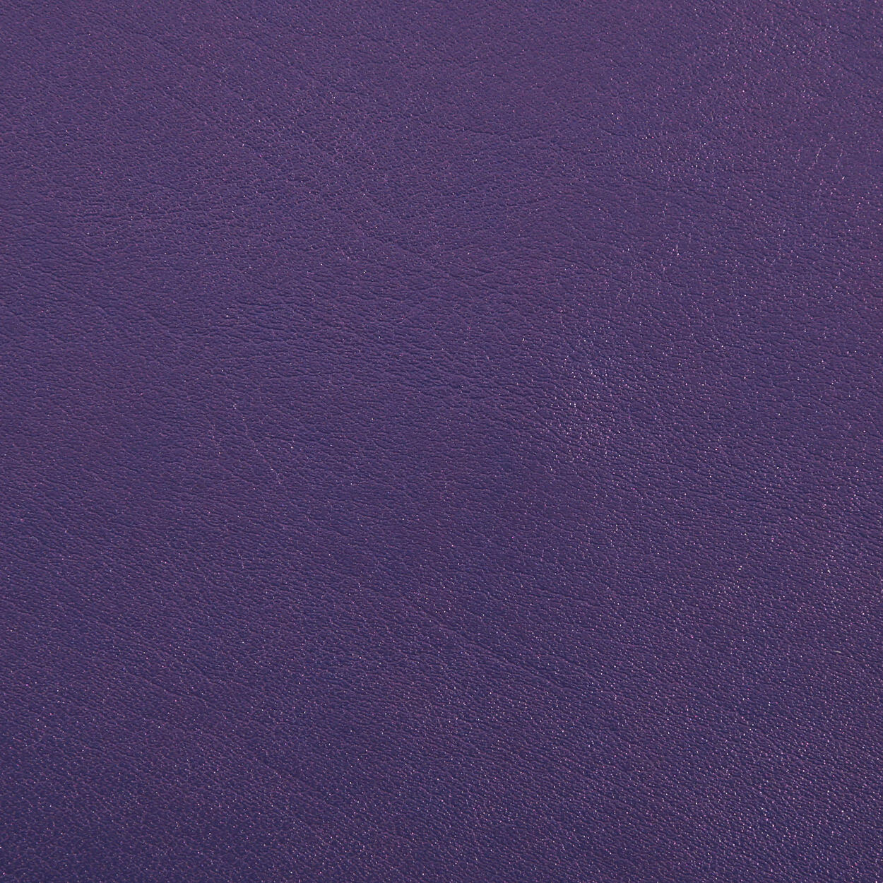 1255 Aubergine