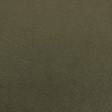 MILANO 1259 Green surface sample