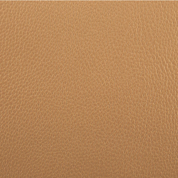 6367 Camel