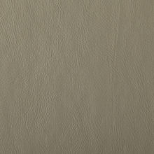 NOVA 3002 Mocca surface sample