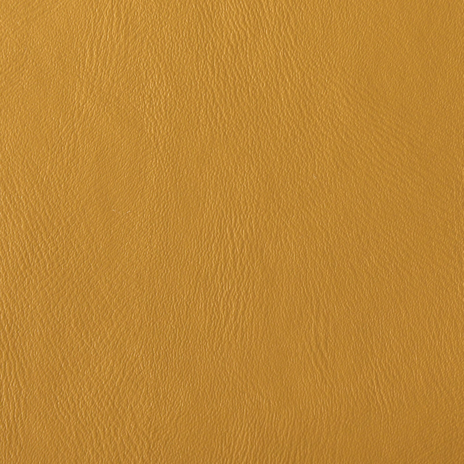 3003 Mustard