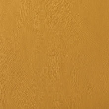 NOVA 3003 Mustard surface sample