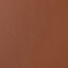 NOVA 3005 Hazelnut surface sample