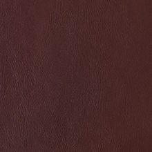 NOVA 3007 Cherry surface sample