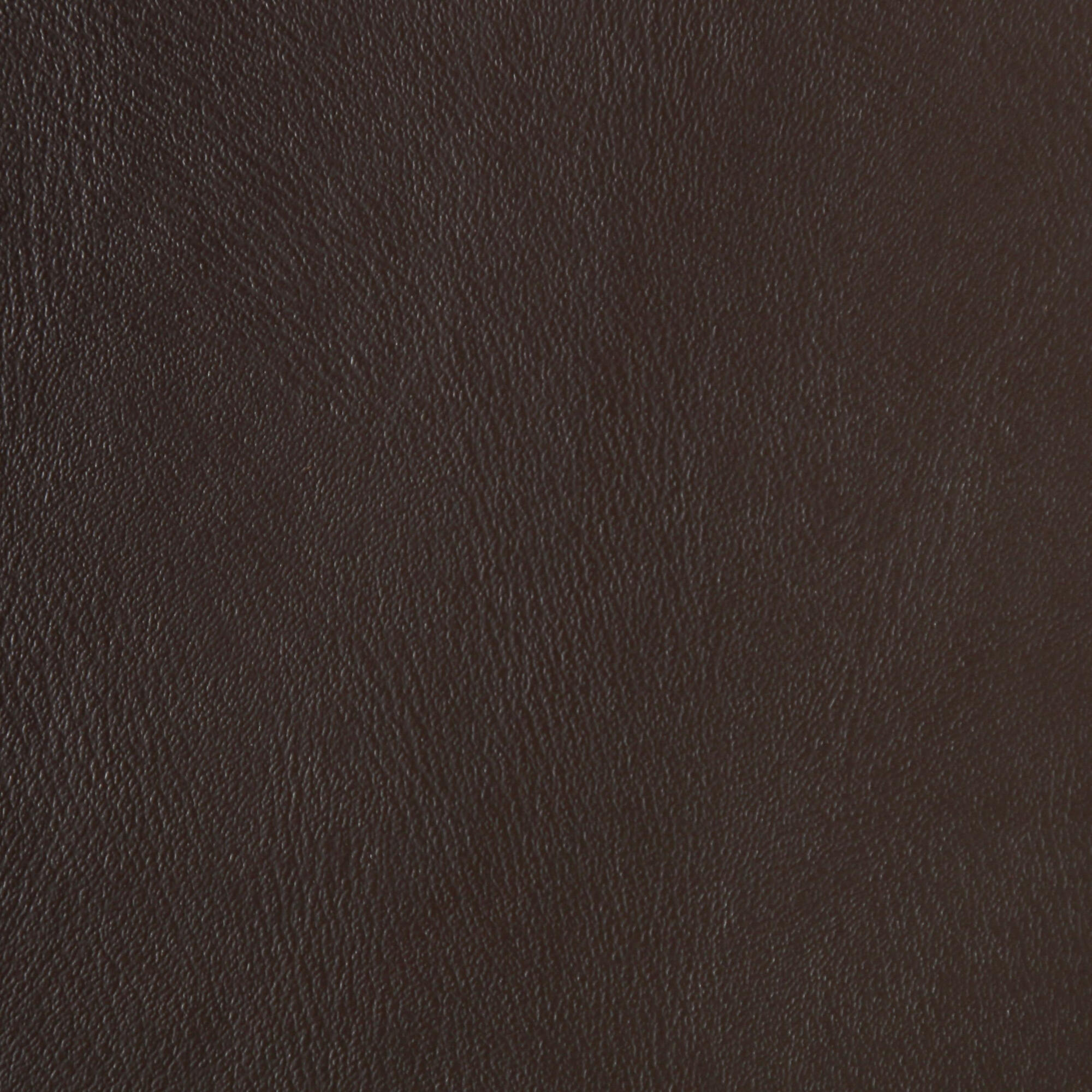 3008 Brown