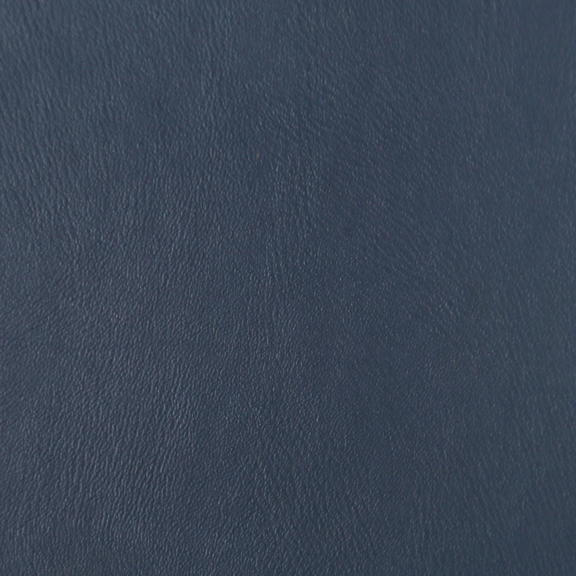 3010 Navy
