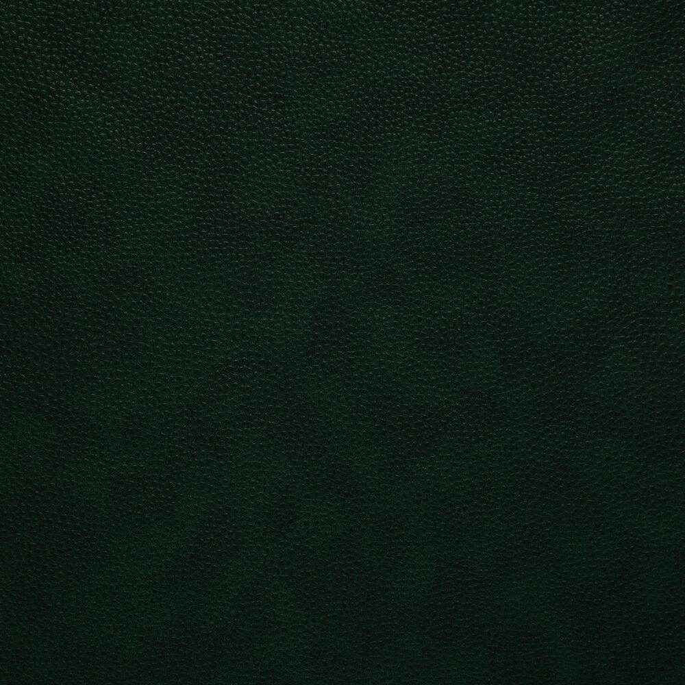 7669 Dark Green