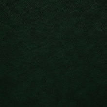 PATARA 7669 Dark Green surface sample