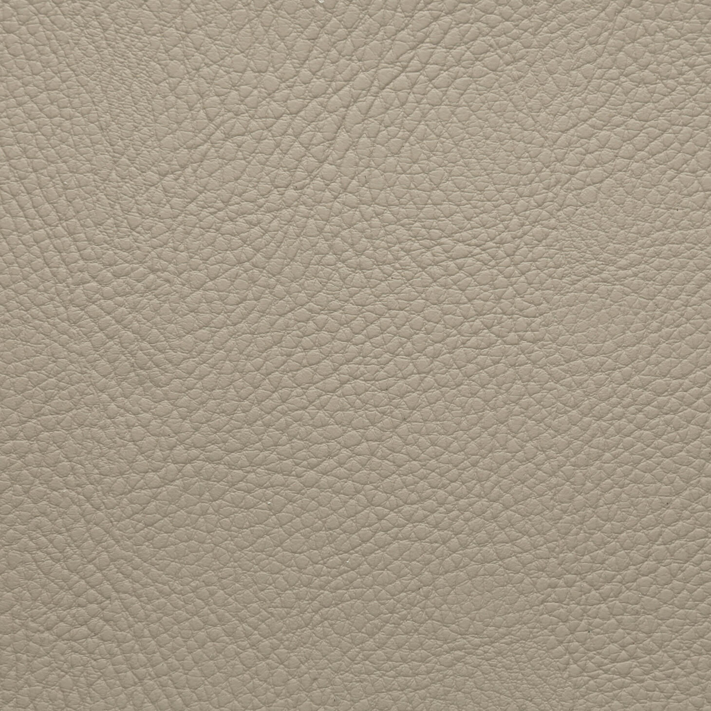 1964 Beige