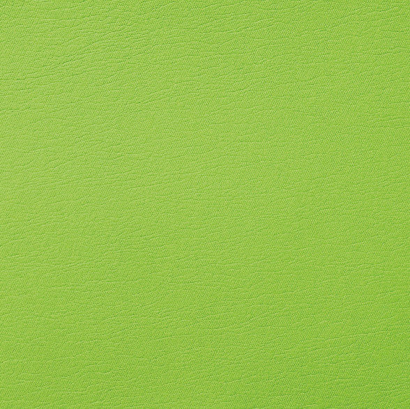 3064 Kiwi