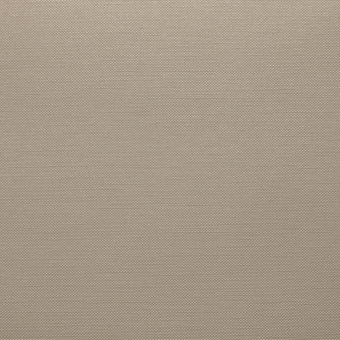 1241 Taupe