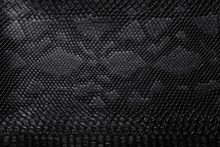 SNAKE 0001 Black surface sample