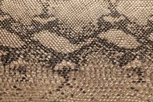 SNAKE 7150 Platin surface sample