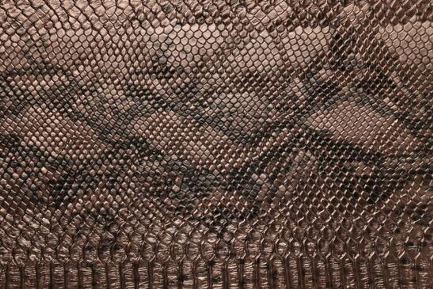 SNAKE 7151 Copper material surface