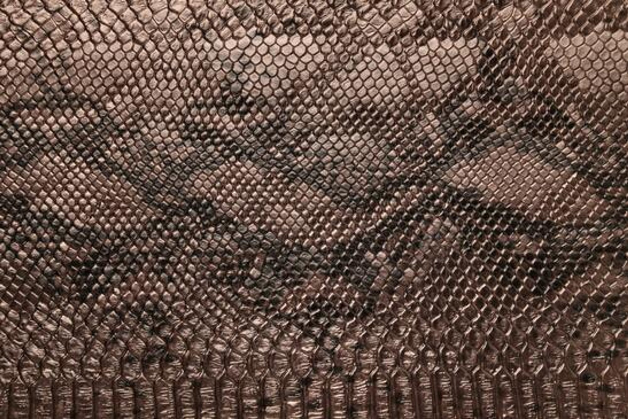 SNAKE 7151 Copper surface detail