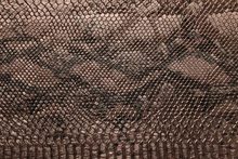 SNAKE 7151 Copper surface sample