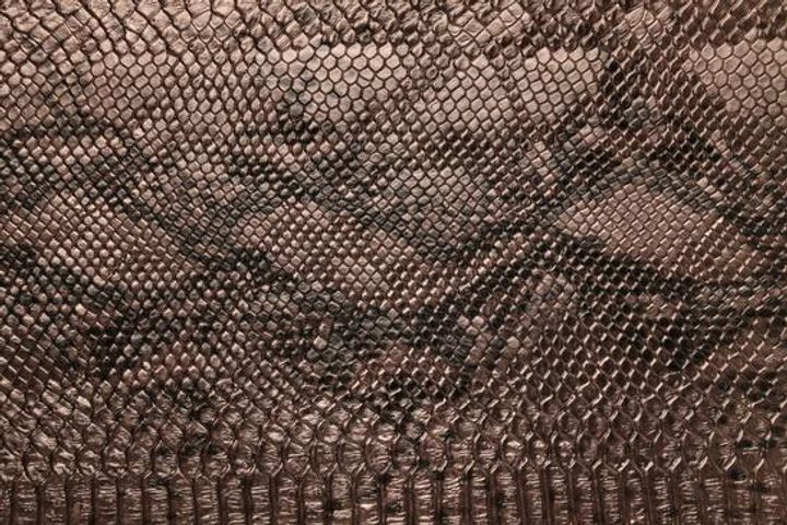 SNAKE material surface texture