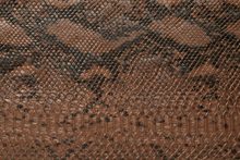 SNAKE 7153 Hazelnut surface sample