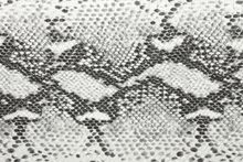 SNAKE 7155 White surface sample