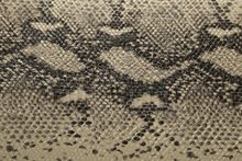 SNAKE 7157 Mink Venge surface sample