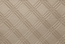 SPECTRA 1241 Taupe surface sample