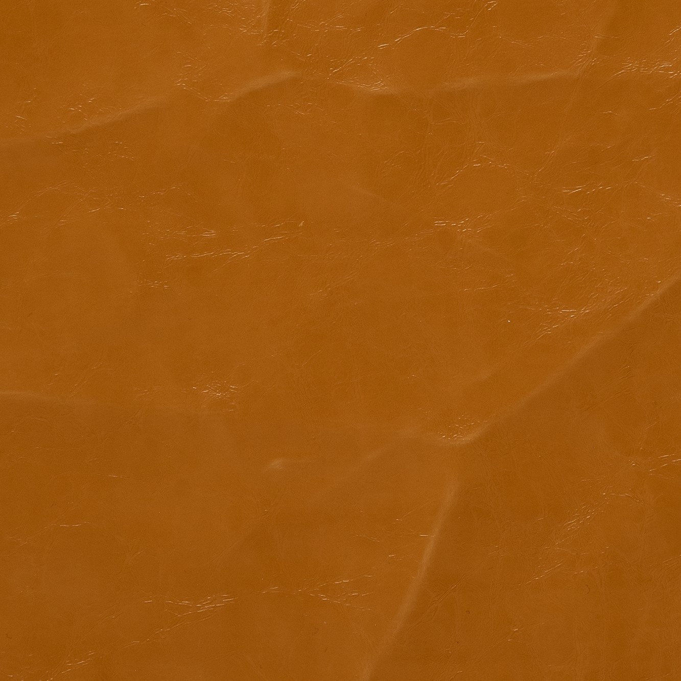 3102 Mustard