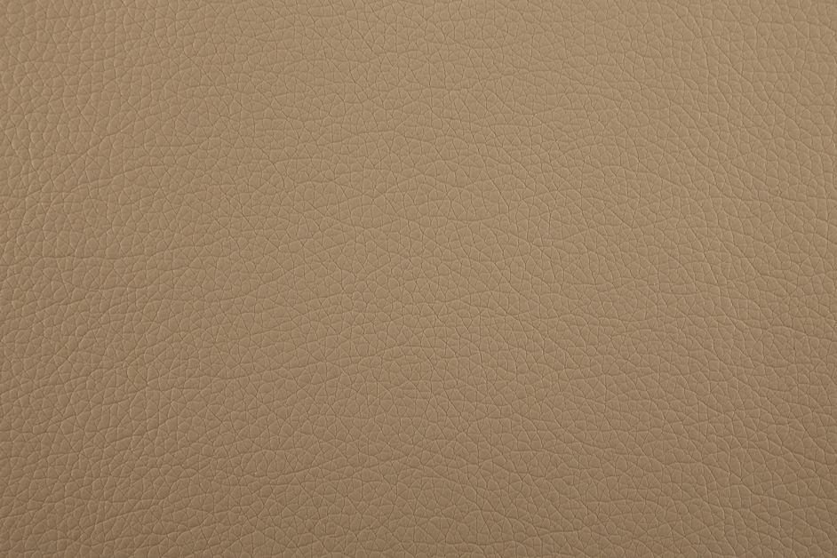 0088 Camel