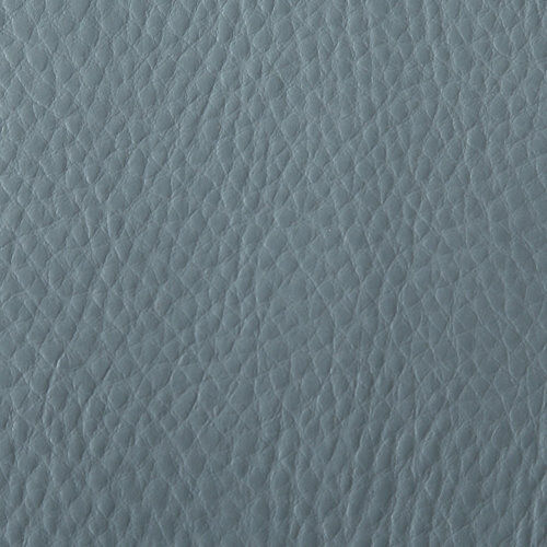 2965 Ice Blue