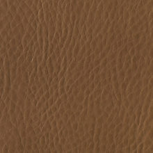 URLA 2968 Hazelnut surface sample