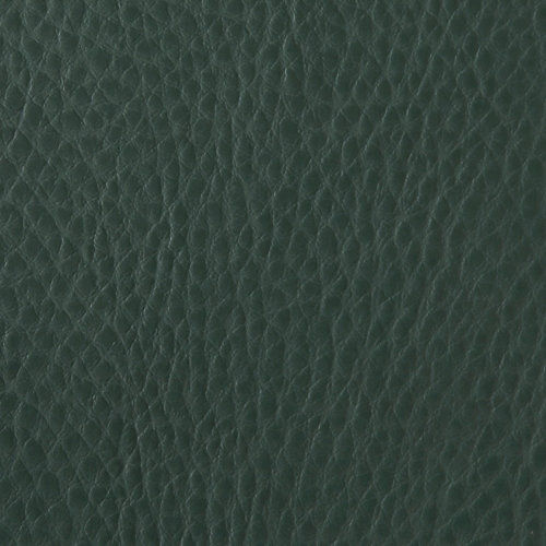 2971 Haci Green