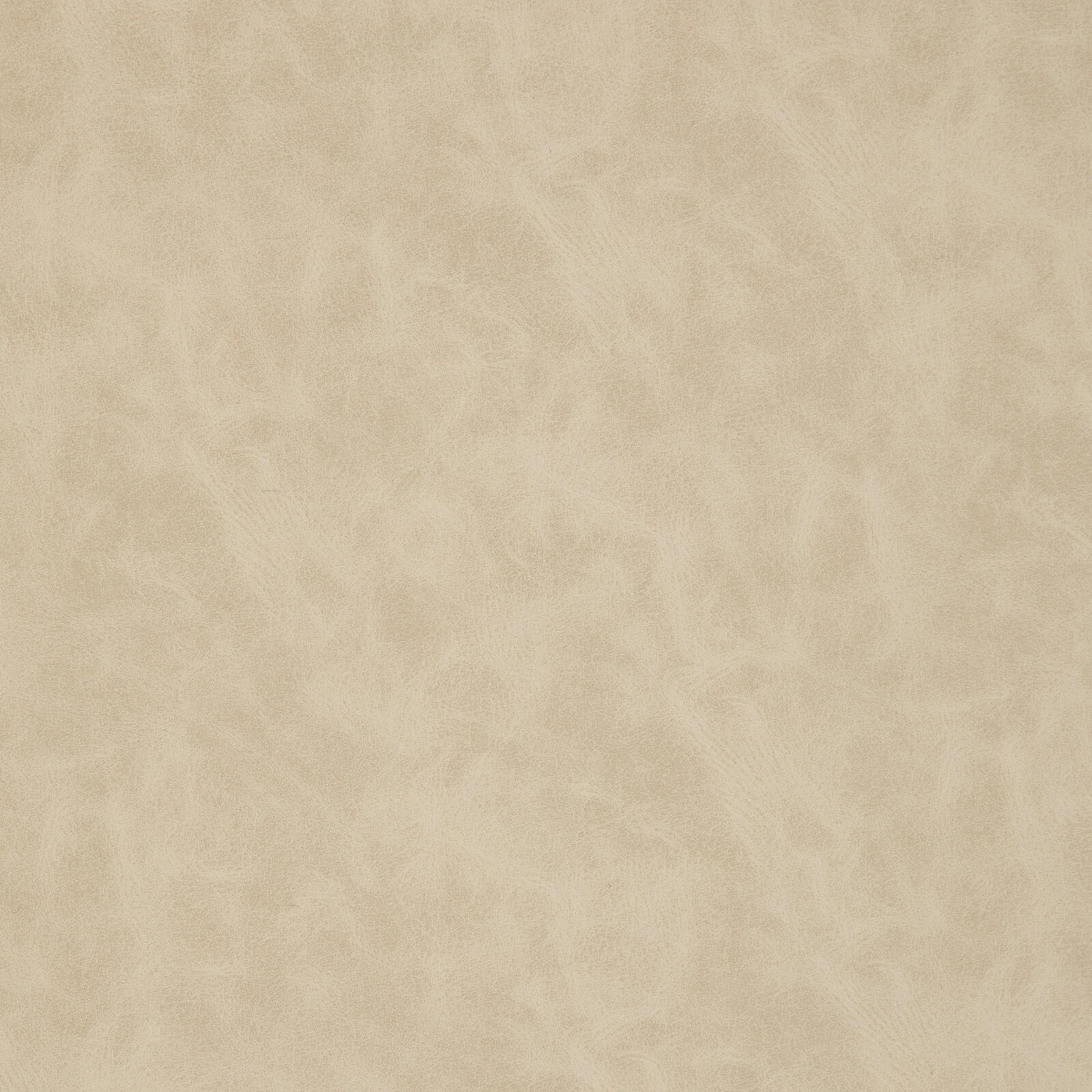7931 Cream