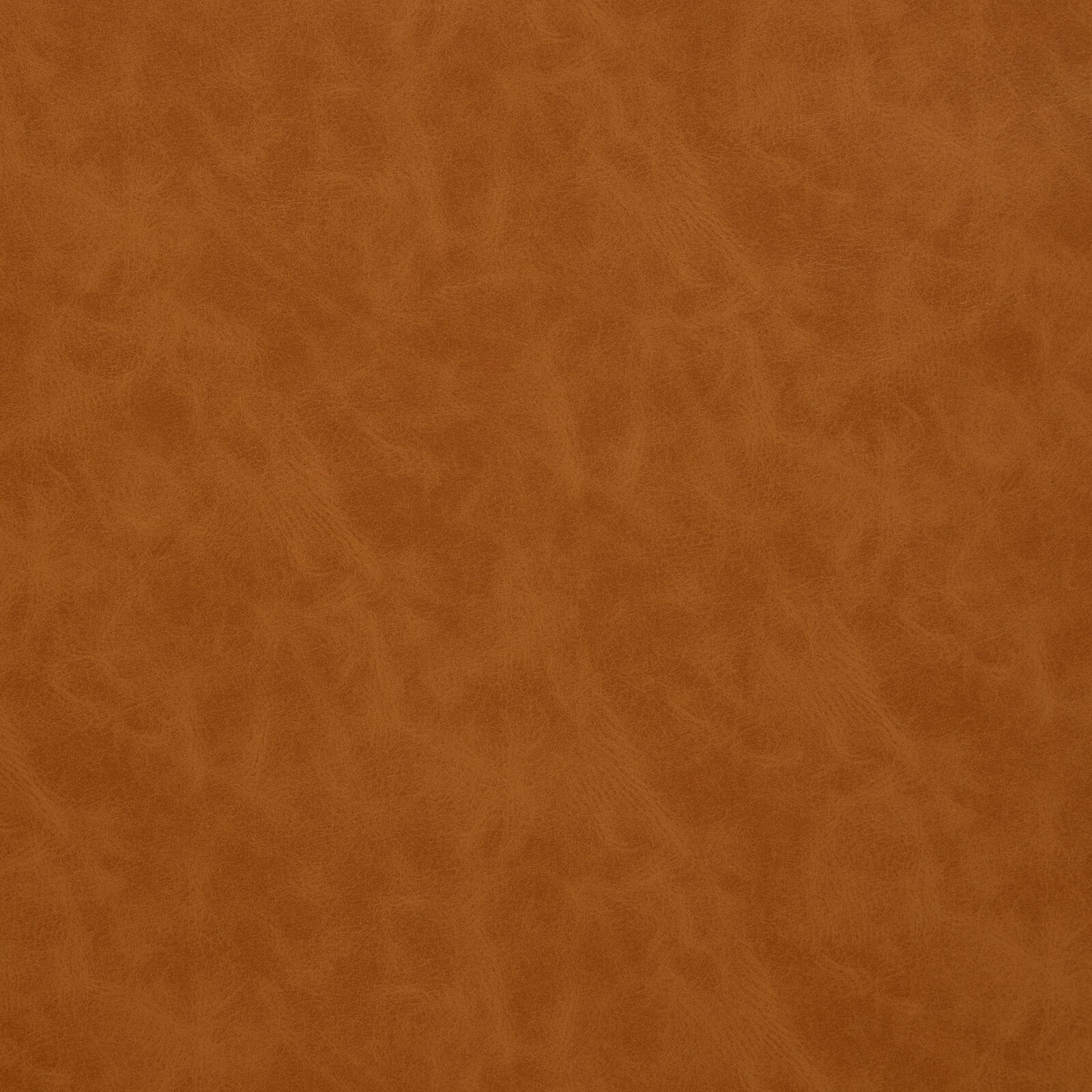 7935 Mustard