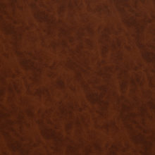 URUS 7938 Tan surface sample