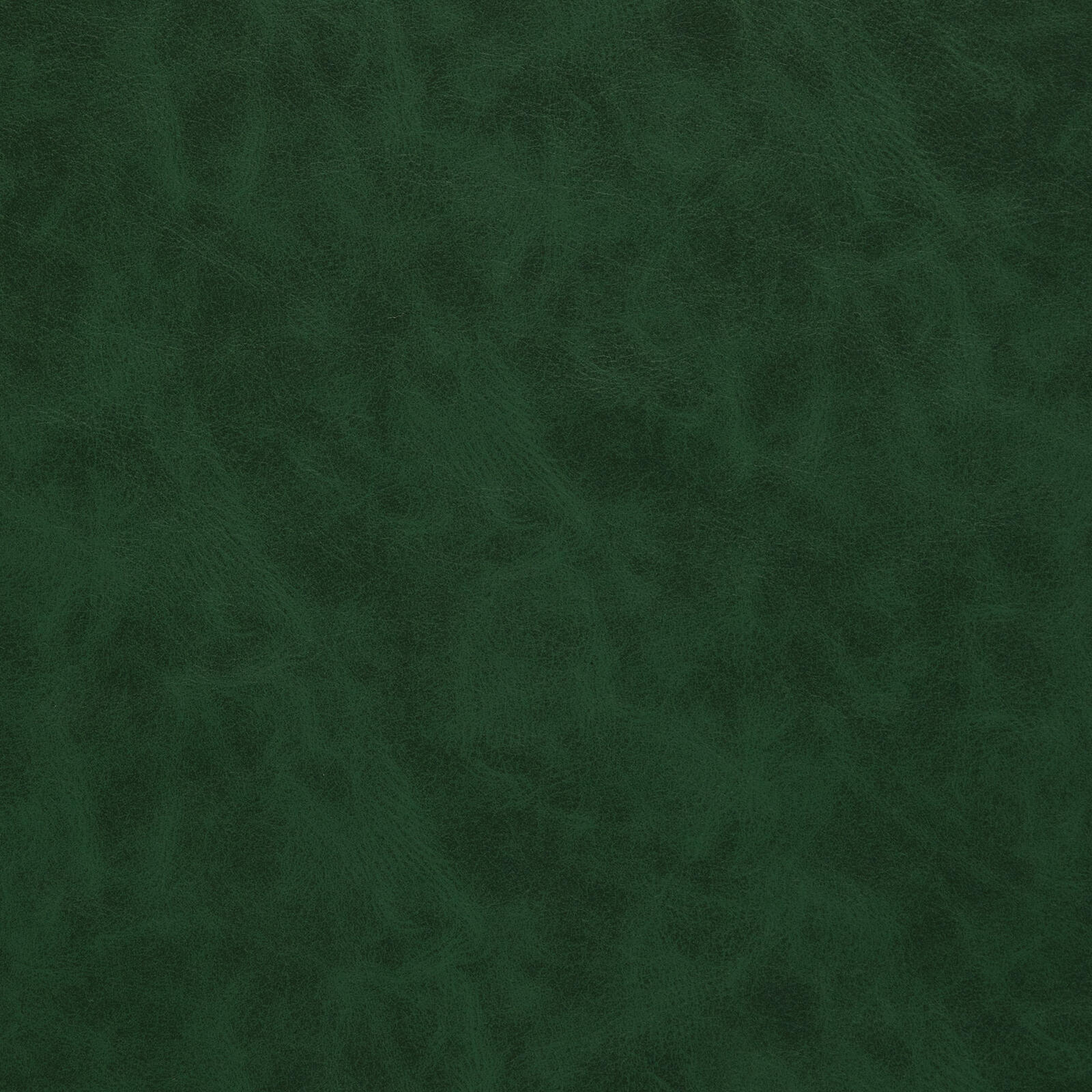 7947 Green