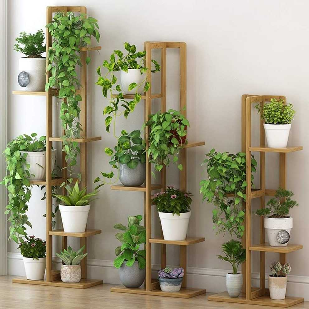 Featured Image of Indoor Plant Stands
