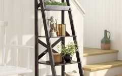Kaitlyn Ladder Bookcases